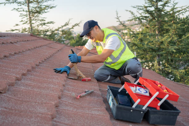 Best Metal Roofing Contractor  in Sterling Heights, MI