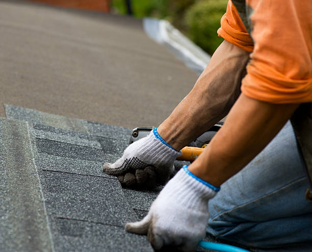 Best New Roof Installation  in Sterling Heights, MI