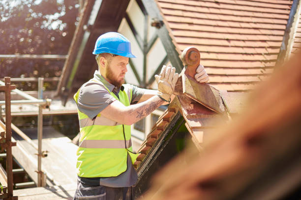 Best Flat Roof Repair Services  in Sterling Heights, MI