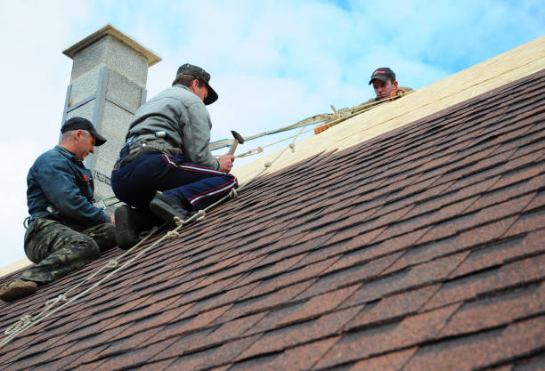 Roof Gutter Cleaning in Sterling Heights, MI